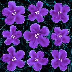 Flowers Flowers Flowers #488