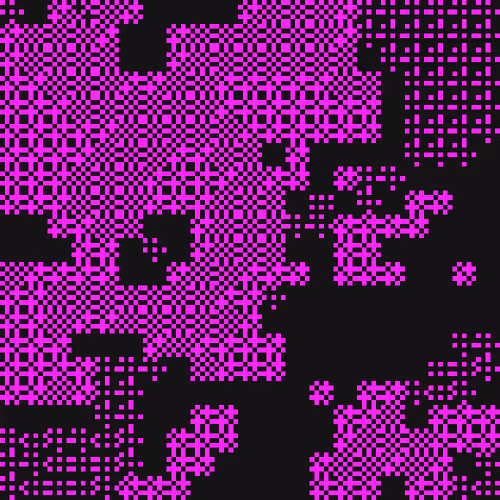 blackseed # 333