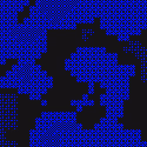 Blackseed