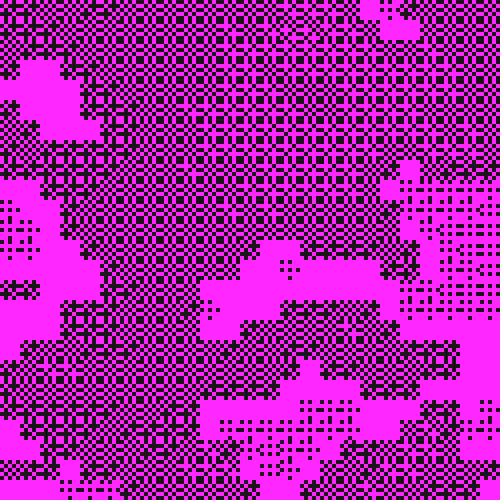 Blackseed