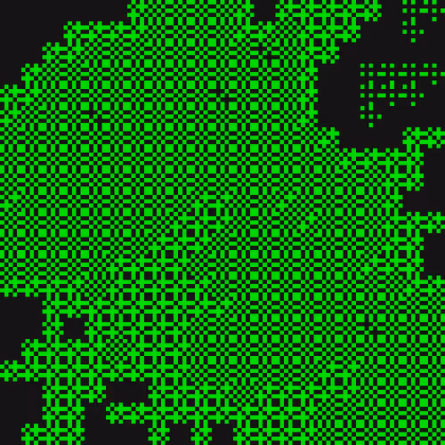 blackseed # 304