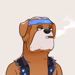 6426