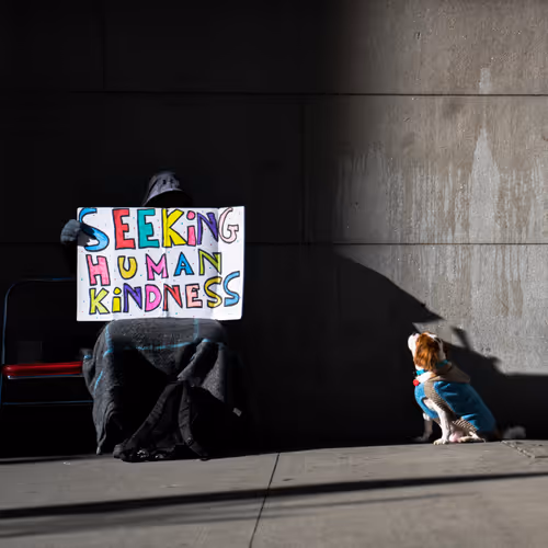 Seeking Human Kindness