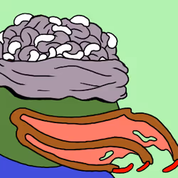 Pepe #26532
