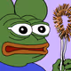 10577