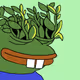 15507
