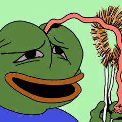 Pepe #6695