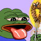 6315
