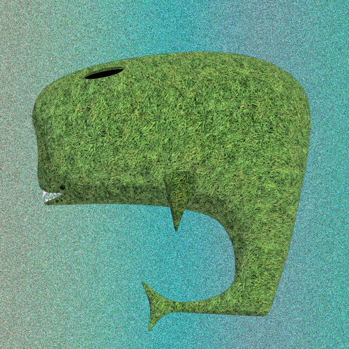 Whales Of Ether