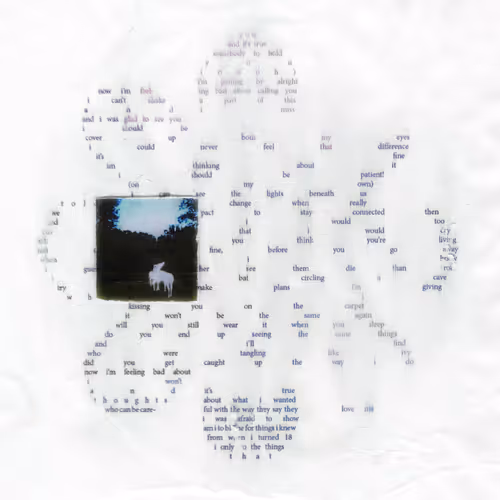 Catalog Records