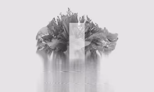 Item #2891968941 Media