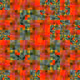 1163795960