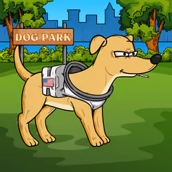 Simp Ape Kennel Club #6091