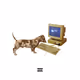 dog with a blog