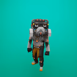 Item Media