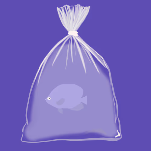 Feesh #2523