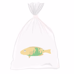 Feesh #4344