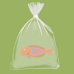 Feesh #3167 " Roman Reigns"