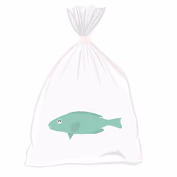 Feesh #2673