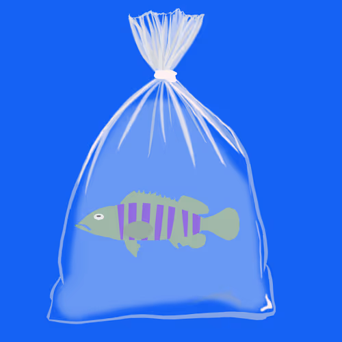 Feesh #1617 "TheArtificer"
