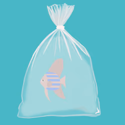 Feesh #4260 "Gordy"