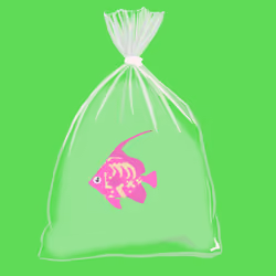 Feesh #1989
