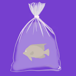 Feesh #671