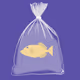 2705