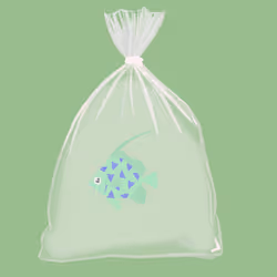 Feesh #4196