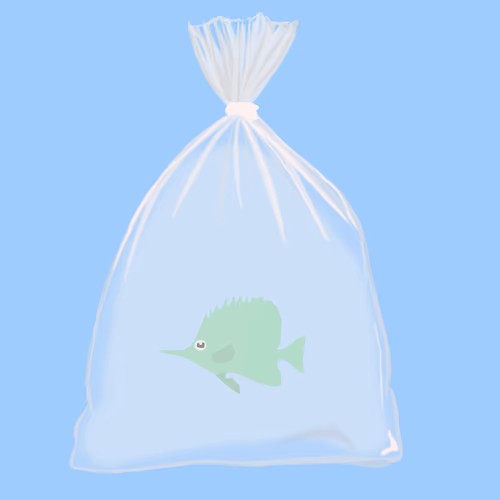 Feesh #4348