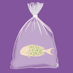 Feesh #4099