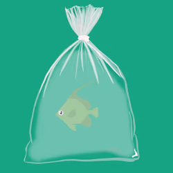 Feesh #1400 "Moe"