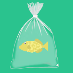 Feesh #1720 "fish"