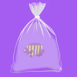 Feesh #1214