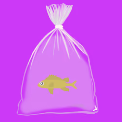 Feesh #470 "Frank"