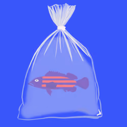 Feesh #2124 "Fud"