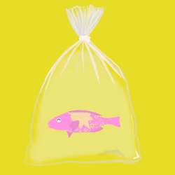 Feesh #1682