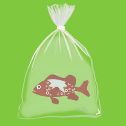 Feesh #2389 "Tuna Turner"