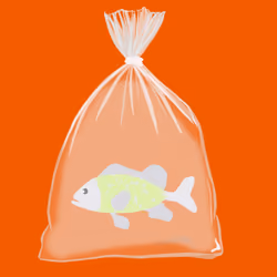 Feesh #4326