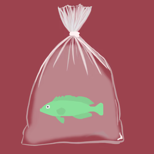 Feesh #2032