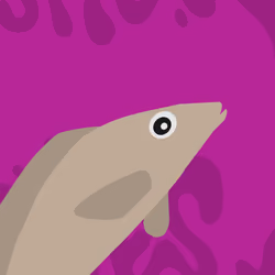 Feesh #2243 "DonFeeshFeesh"