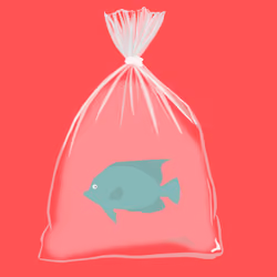 Feesh #1505