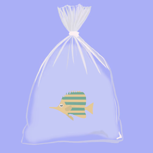 Feesh #2745