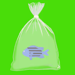 Feesh #3829