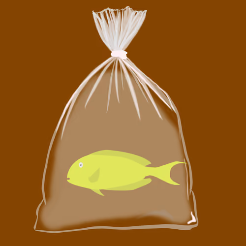 Feesh #466