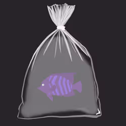 Feesh #2259 "Nahdeeah"