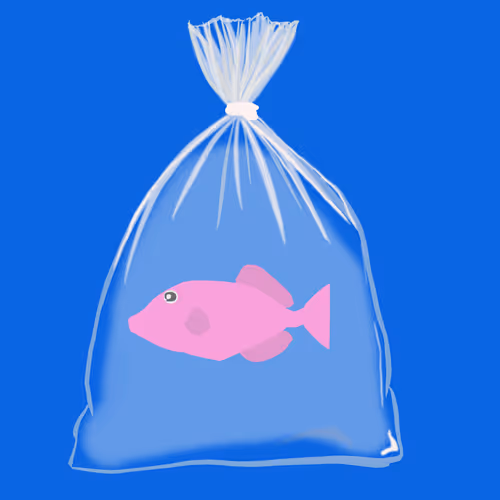 Item #54 Media