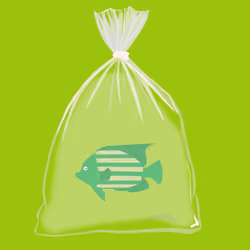 Feesh #1504