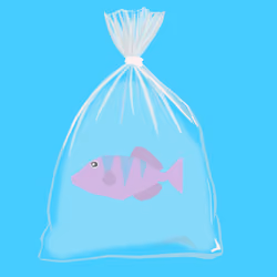 Feesh #793