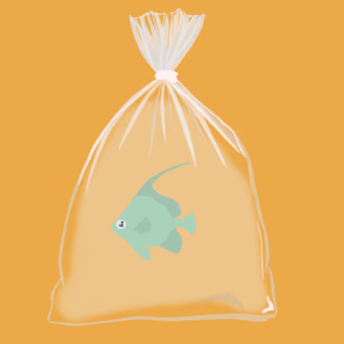 Feesh #190